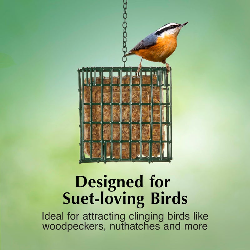 CS C&S EZ Fill Suet Basket, Suet Feeders for Wild Birds, Holds One Suet Cake, 8 Ounces - Image 4